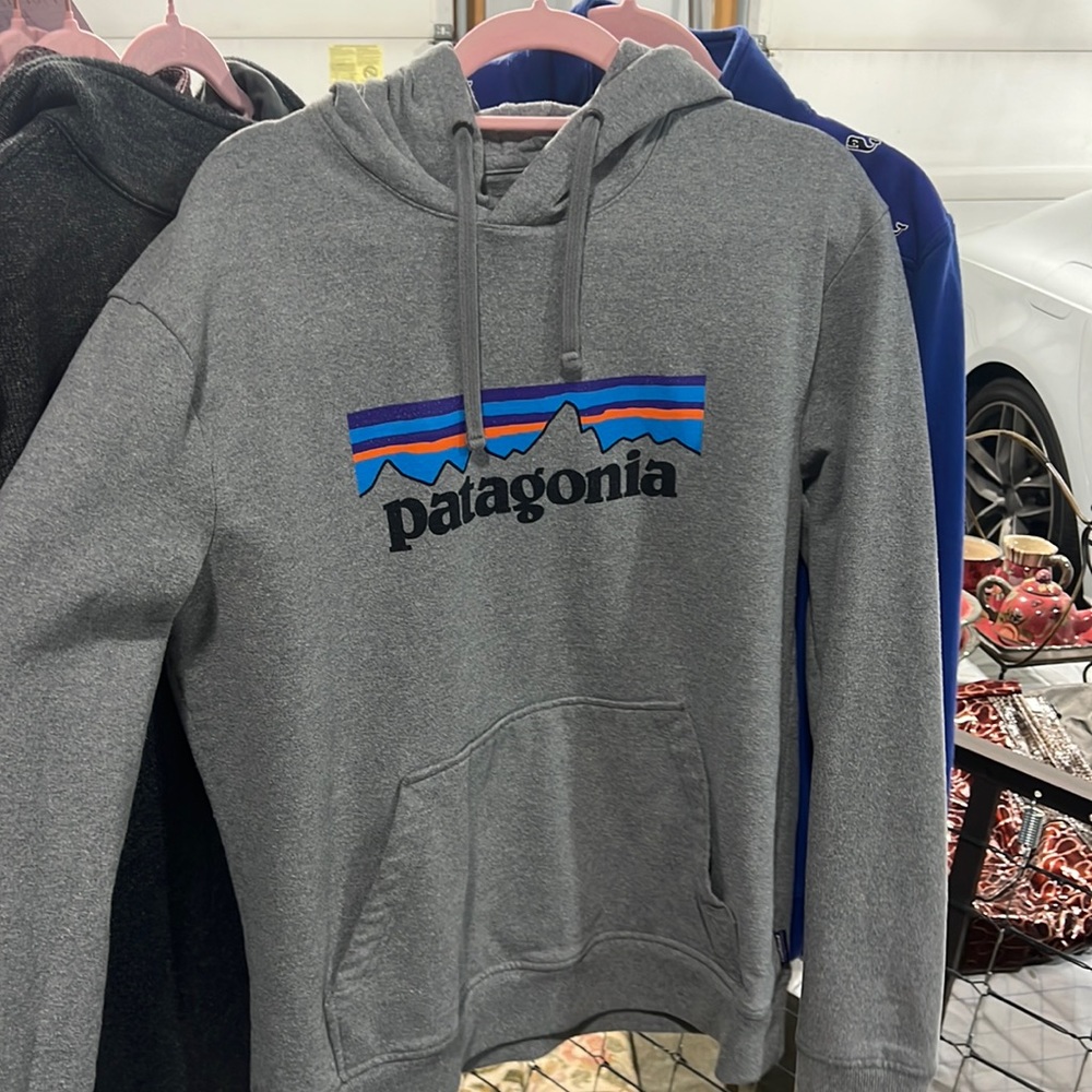 Patagonia hoodie